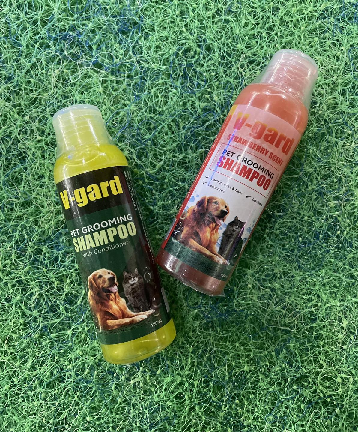 V-gard shampoo