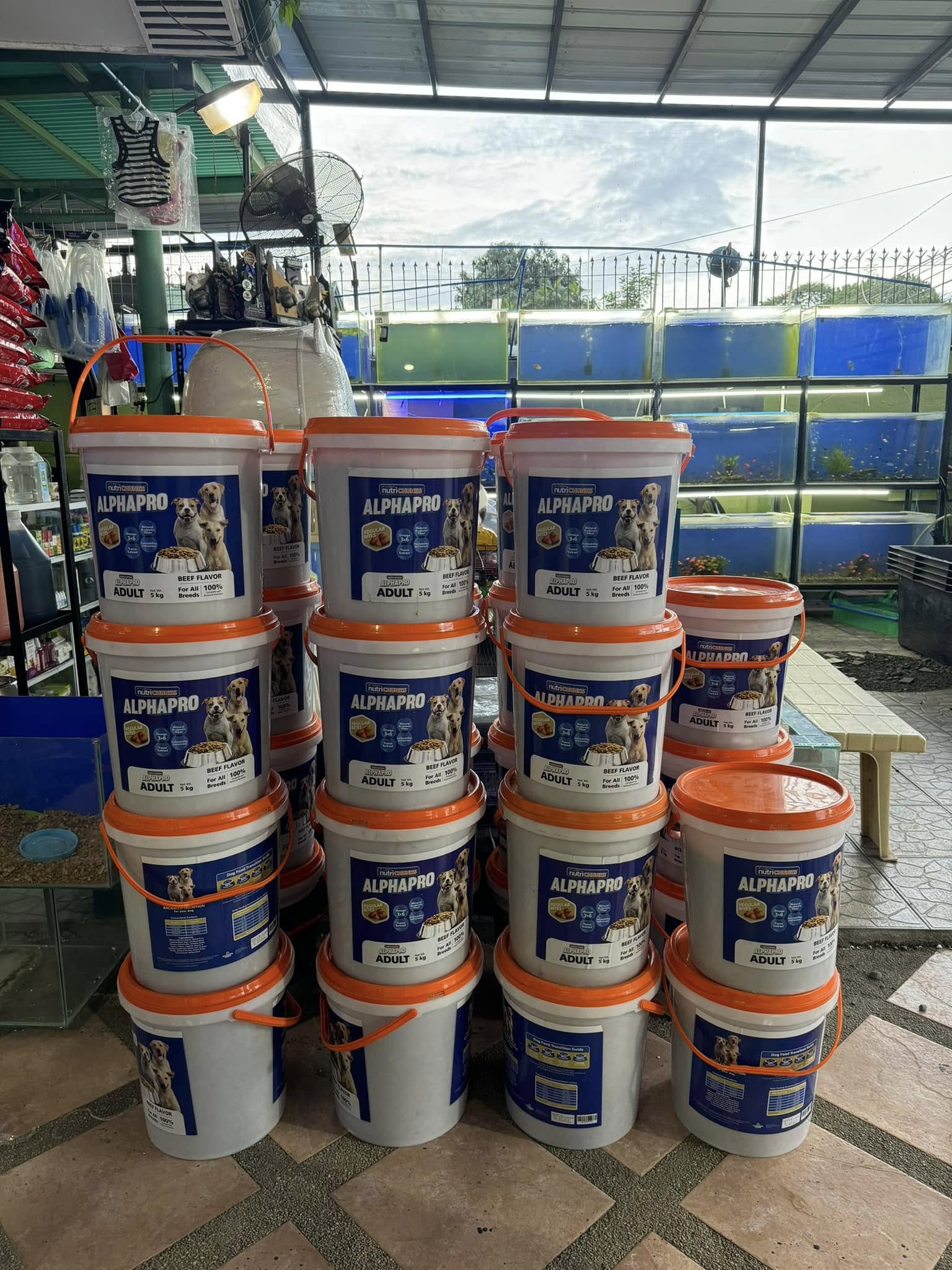 NutriChunks AlphaPro Adult Dog Food (Beef Flavor, 5 kg)