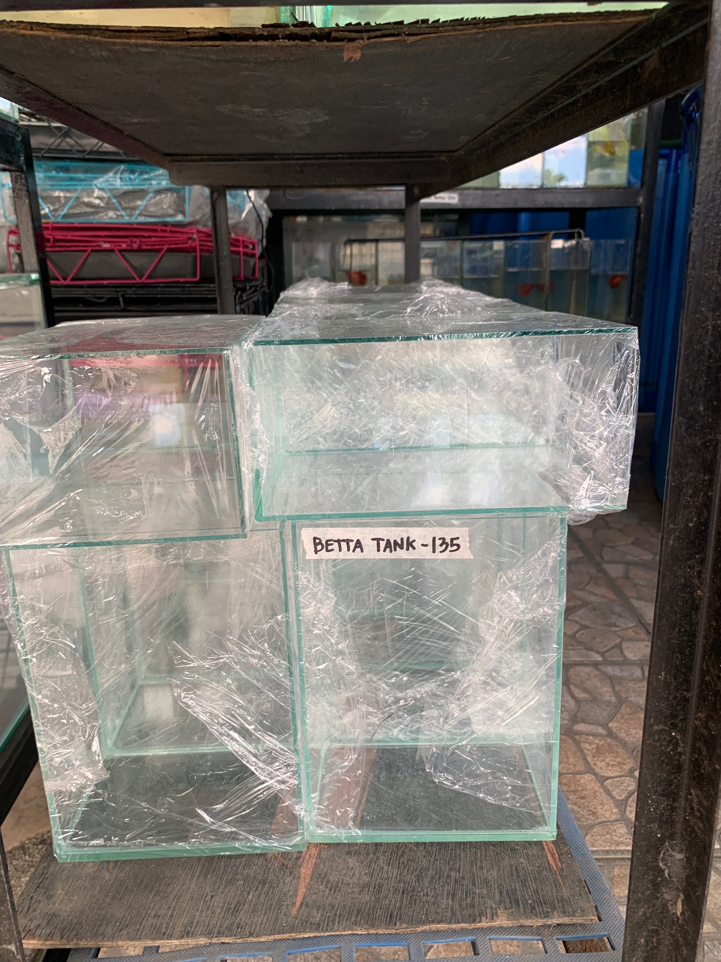 Betta Tank 12x8x10

