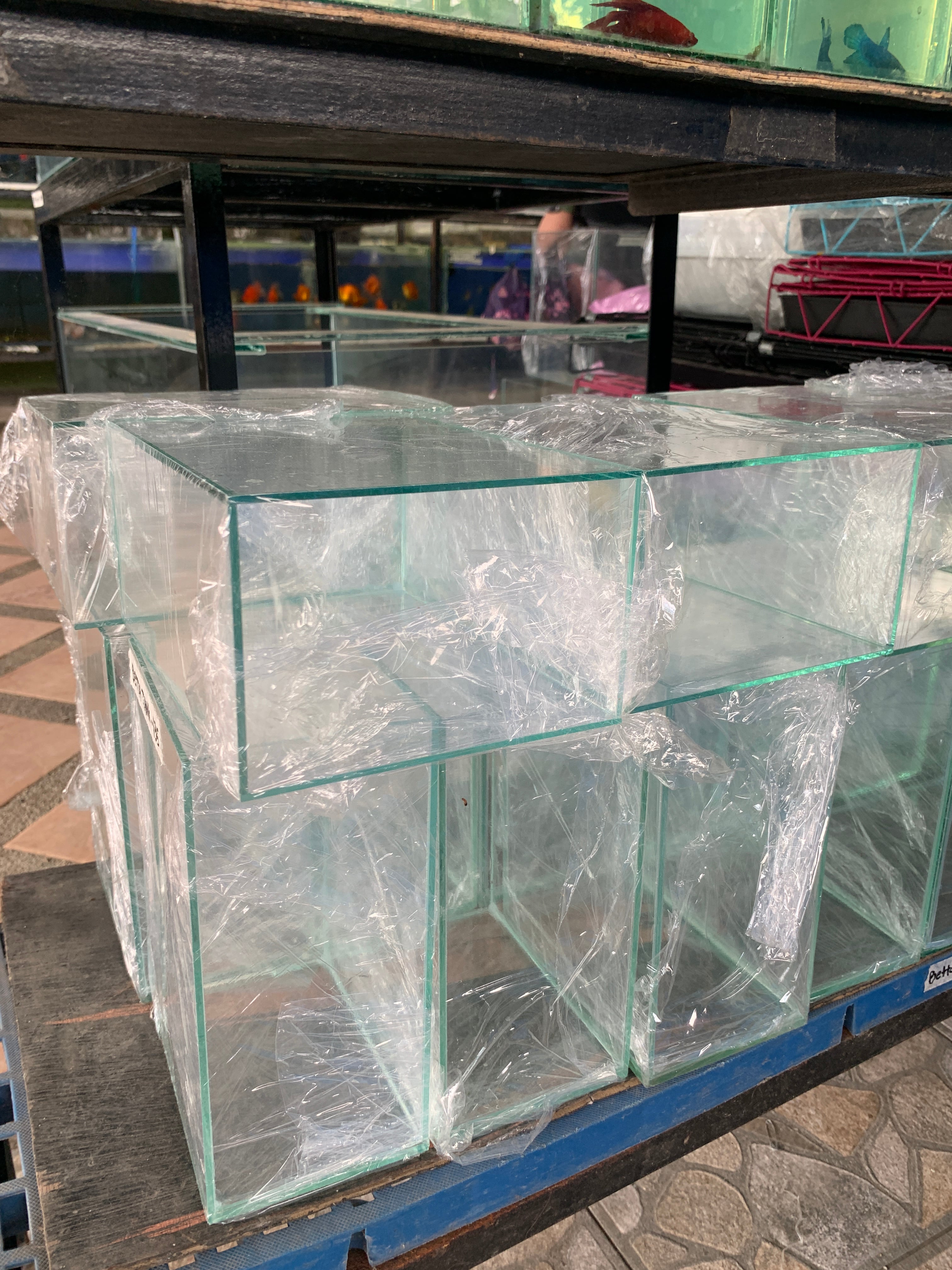 Betta Tank 12x8x10

