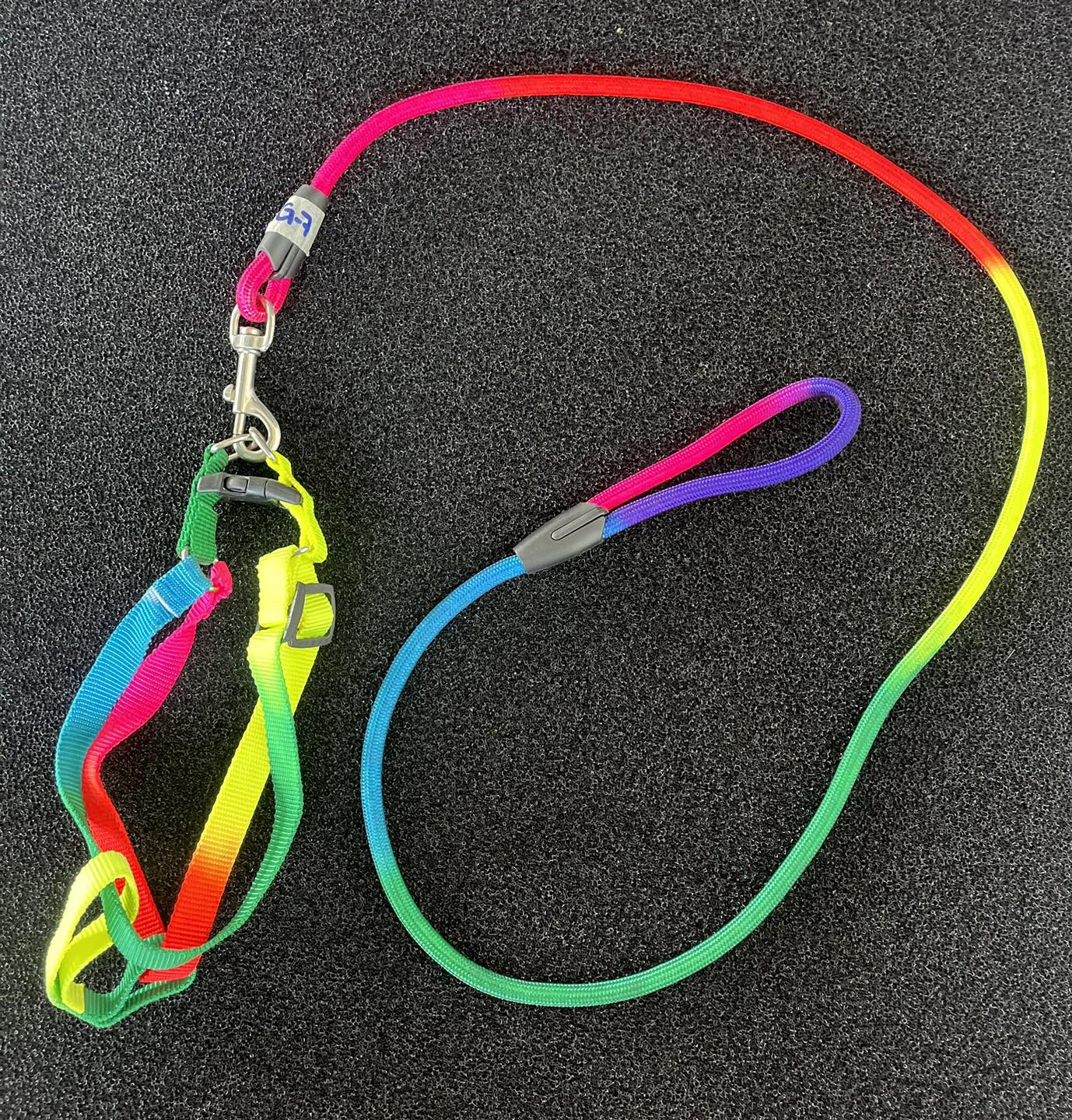 Leash