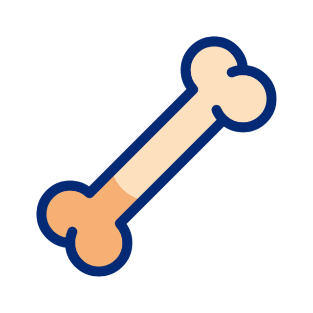 Bone