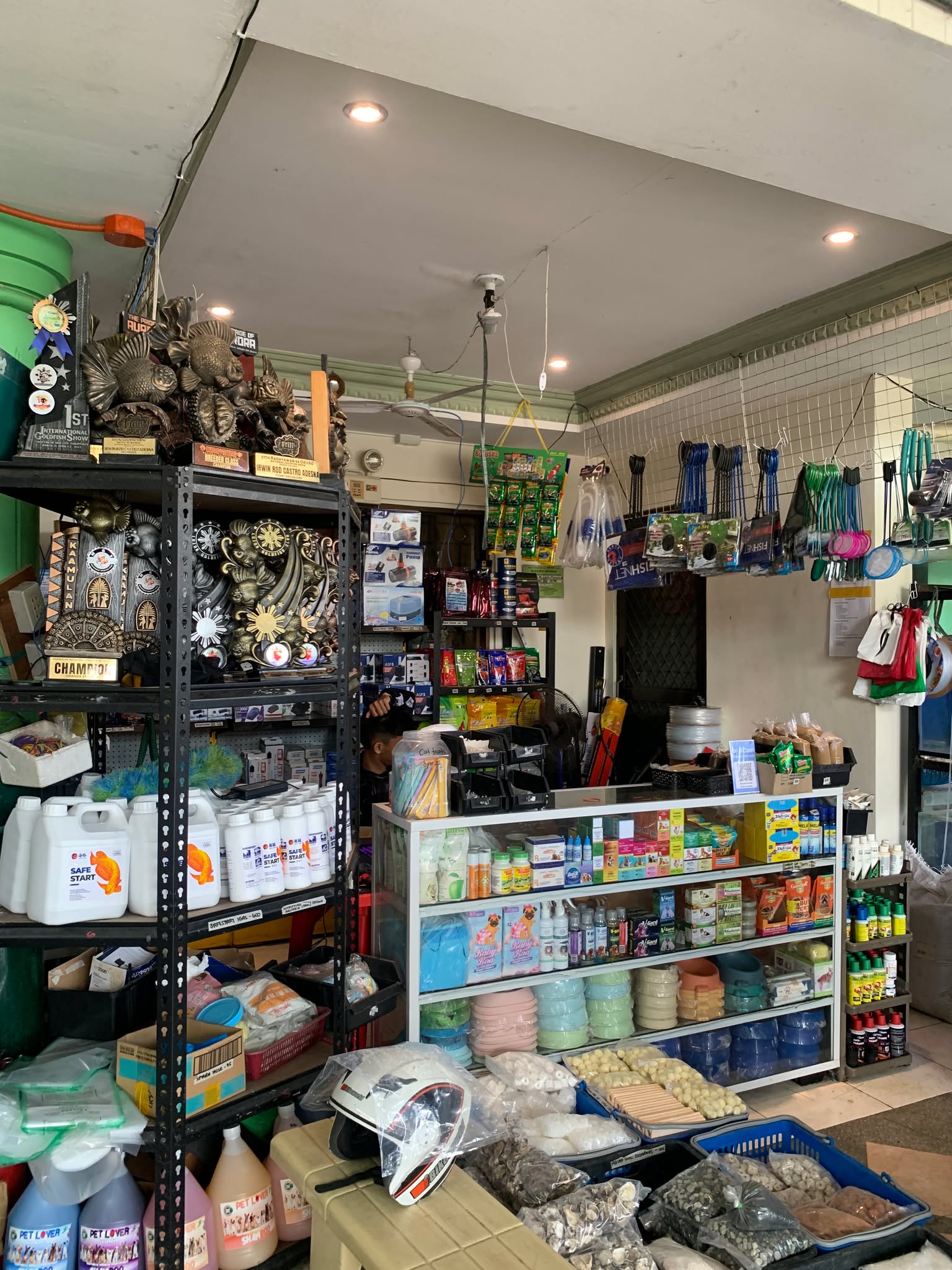 Pet Accessories