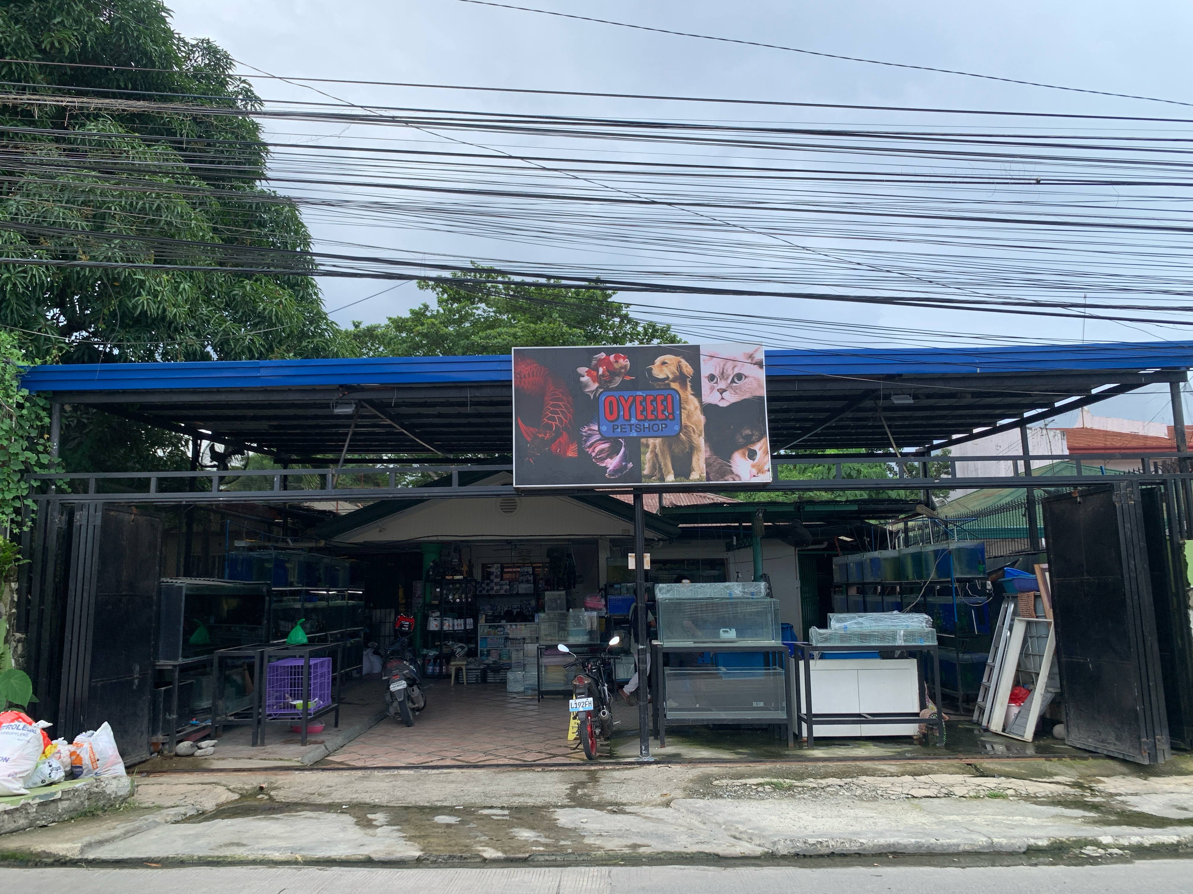 Main Branch